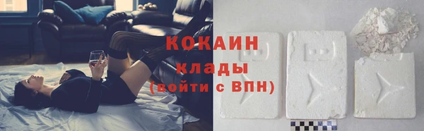 прущие грибы Белокуриха
