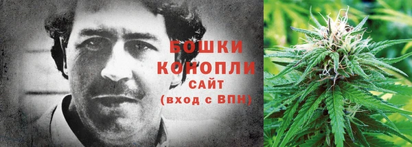 прущие грибы Белокуриха