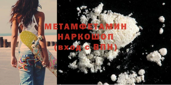 прущие грибы Белокуриха