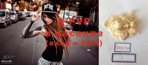 прущие грибы Белокуриха