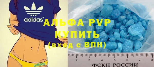 прущие грибы Белокуриха